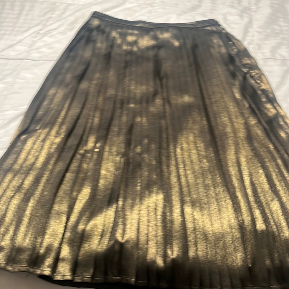 Abercrombie &Fitch size small pleated skirt Left side zipper Has Long slip also
